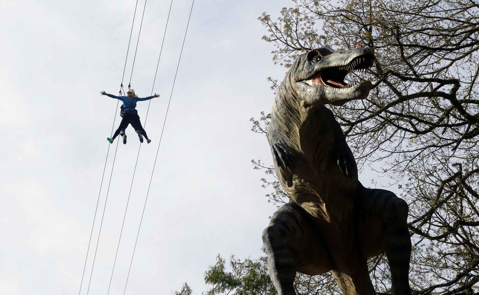 Terra dos Dinos